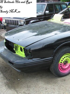 cover image of A Solitude Hit and Run